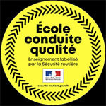 Professional multilingual teaching