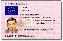 French certify translation of your driving license