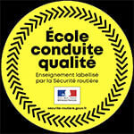 Professional multilingual teaching